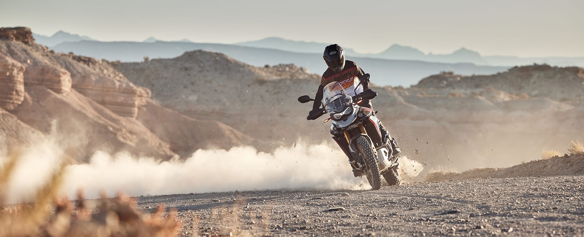 Triumph tiger 900 off road cheap